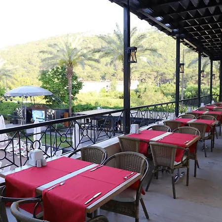 Meder Hotel 5*